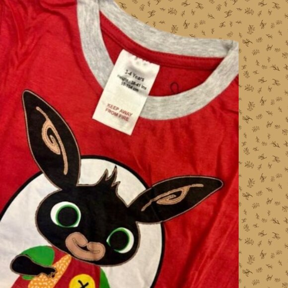 Bing Bunny Kids T-shirt and Shorts Set – Cartoon Character Summer Outfit NWT - Picture 4 of 5